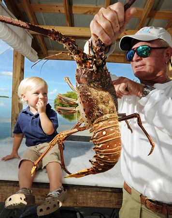 Florida Spiny Lobster